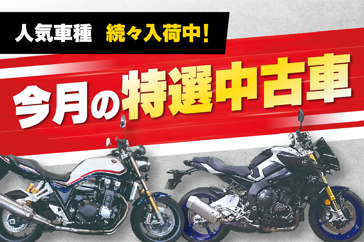 人気車種続々入荷中!今月の特選中古車